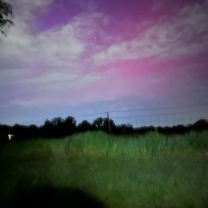 Meet your Posher, Delaney